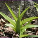 문영어학원 | 문영여중 근처 중학생 영어학원 관악구 중학교 내신 영어 기말고사 후기