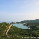 비금 티스토리
