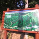 부남면044 Daum카페