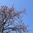 별맞이민박 이미지