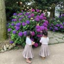 블레이즈필라테스 | 미리 여름맛