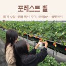 생놀농장 | 용인딸기체험 동물먹이체험 애견동반 포레스트벨 재방문 후기