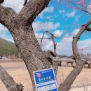 매화면사무소 이미지