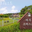 제부 포레스트 이미지