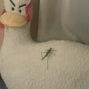 비비엘이디(BBLED)조명 | 너무더움 살려주세요!