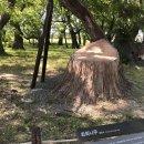 계림면옥 이미지