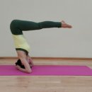 건강 요가-B 이미지