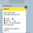 아킨인테리어 | 진료, 항암 2차 후기
