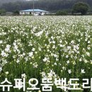 까치슈퍼 이미지