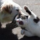 지송농장 이미지