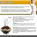 명심선원
