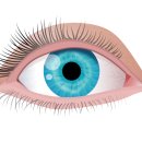 으뜸50안경 안양1번가점 이미지