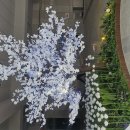 '어울림 정원, 낮밤 벚꽃 단풍 야자수 버드나무 꽃잎 디자인 공원거리, 광장, 실내 공간, 식물, 조명 마법 이미지