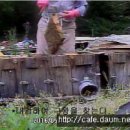 (주)신왕 이미지