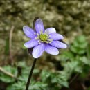 수원-2010 이미지