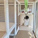 괴정 스타클래스 | 부산 키즈룸 괴정 키즈카페 바른프라이빗키즈룸