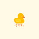 리틀베프 - 이천시 경충대로 2737 | 리틀베프
