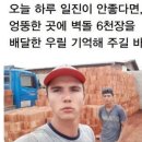 불꽃돼지 이미지