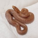 에담하우스 이미지