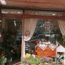 도봉-쌍문-도봉-1557 이미지