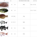 동규수산 Daum카페