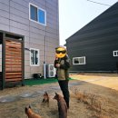 경북야생동물구조관리센터 | 경북 영주 아이와 가볼만한곳 | 여우 생태관찰원 솔직후기