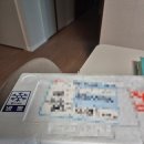 종일농원 | 체력 떨어질 때 추천 영림벌꿀농원 산지직송 로얄제리 꾸준히 먹어본 후기