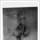 서울금방 이미지