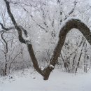 백덕산주유소 Daum카페