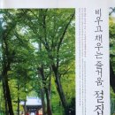 비우고채우는숲 이미지