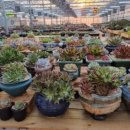 억대농장 이미지