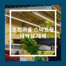 호천농장 이미지