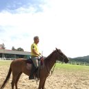 천령승마랜드 이미지