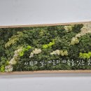 케이파출 네이버블로그