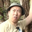 펀(Fun) 라인댄스(화) | 이시가키 다이빙 샵 라이안다이빙 가격 만타 포인트 비추후기