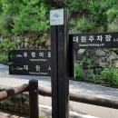 ⛰️ 제1.721차 8월4일 산청 지리산 대원사계곡 트레킹 예약방 이미지