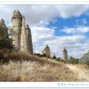 화이트밸리 이미지