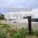해운대종합정비 울산지점 | 해파랑길 12코스 트레킹 송대말등대 고아라해변 양포항