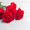 제이에스메디케어 이미지