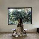 동백수퍼 | 제주 서귀포 동백포레스트 다녀온 후기 (입장료, 주차)