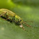 몸의형태 이미지