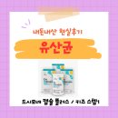 팜플러스약국 | 조카 유산균 추천 | 드시모네 vs 셀티아이 가격 비교 (왕솔약국 최저가 정보) 🍀