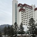 강원애니팜 | [강원도/평창여행]1박2일 가족 아기랑 켄싱턴평창 즐기기_2탄_켄싱턴평창 눈썰매_동물먹이체험_키즈카페...