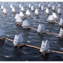 다다 태양광 이미지