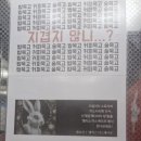 주식회사 레드플레이 | #161 [대구방탈출] '앨리스 이스케이프 - 레드주식회사' 테마 후기 대구놀거리 추천!