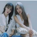 투래빗츠