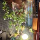 강남최선생 이미지