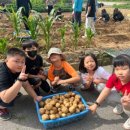 대구고매초등학교 이미지