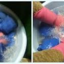 올바른세탁 이미지