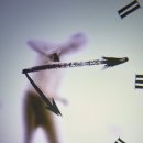 포도가 있는 풍경 이미지